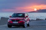 Skoda Karoq 2017 года (WW)
